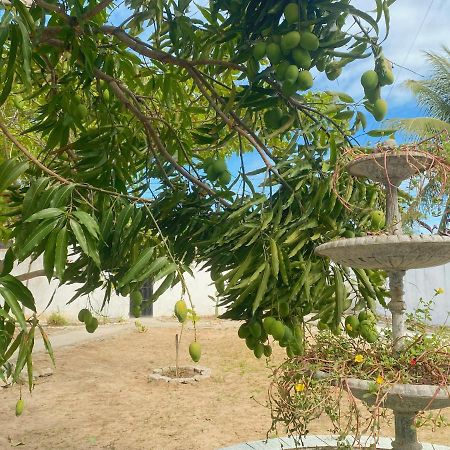 Sol, Mar E Privacidade Villa Aracaju Eksteriør billede